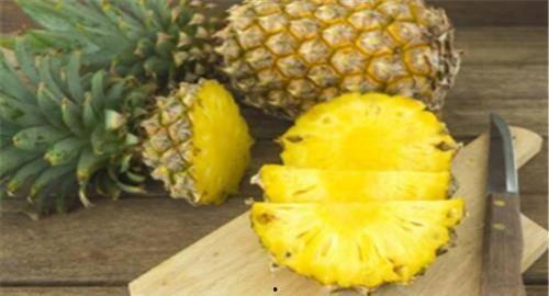 娱乐吃瓜小菠萝视频大全